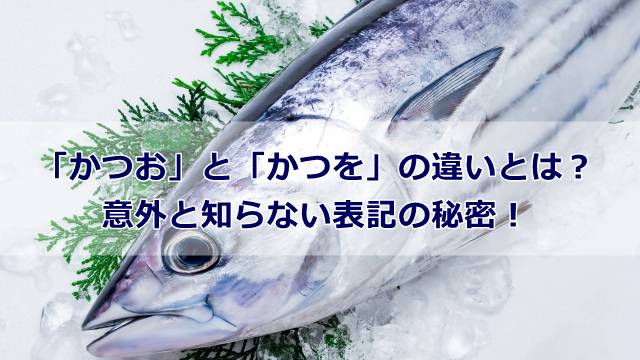 「かつお」と「かつを」の違いとは？意外と知らない表記の秘密！